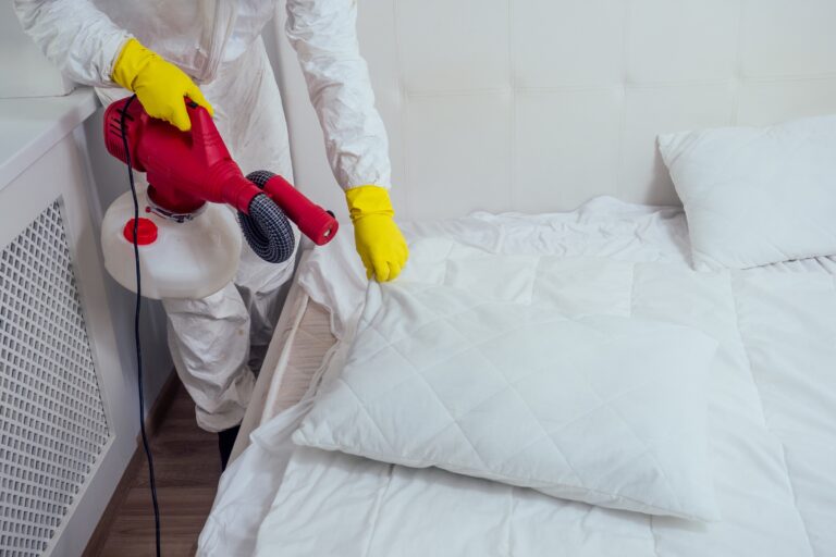 Exterminator wearing work clothes and gloves, spraying pesticide onto a white bed mattress and pillows to kill bed bugs