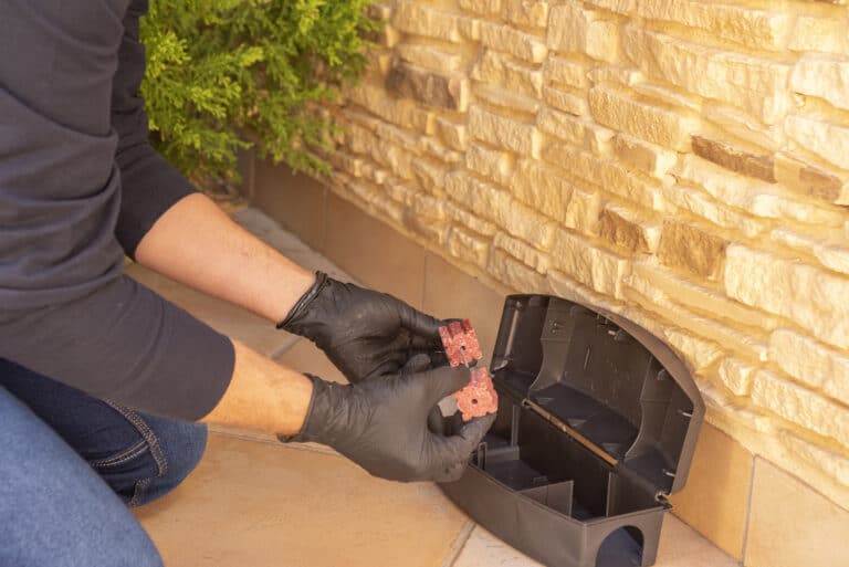 A professional wearing black gloves installs a rat trap outside a home.